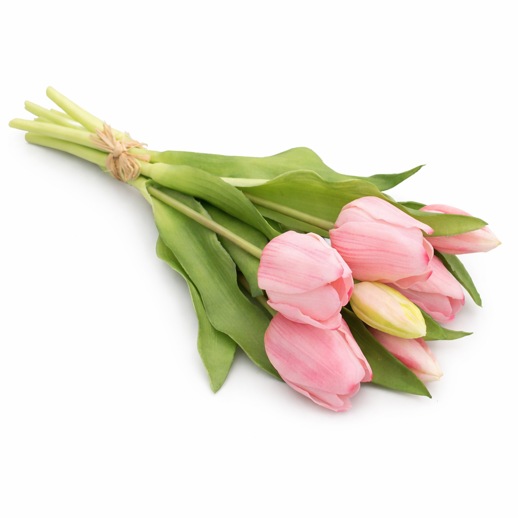 Tulpenbund - Kunstblume