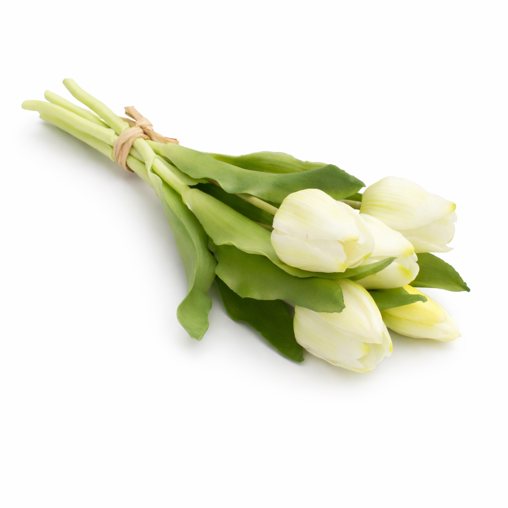 Tulpenbund - Kunstblume